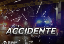 Persecución y choque de auto robado en Oak Hill