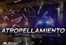 Como Naomi Mangrum identifican a la persona de 75 años que murió atropellado el lunes en Nashville