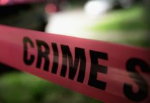 Funcionario de CBP acusado de albergar a inmigrante indocumentada