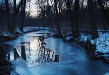 Rescate Shelby: dos niños caen en un estanque congelado