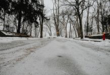 (VIDEO) Salió con el cabello mojado en plena ola de frío y el resultado se hizo viral