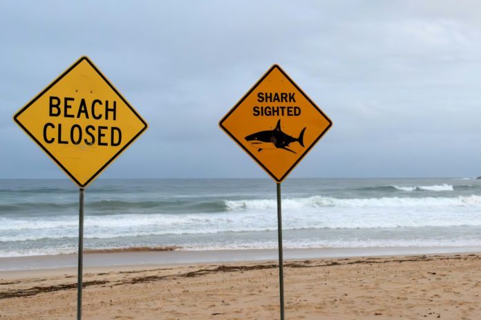 Unas señales advierten de una playa cerrada por el avistamiento de tiburones el 19 de enero de 2026 en la playa de North Steyne, en la ciudad australiana de Sídney. AFP