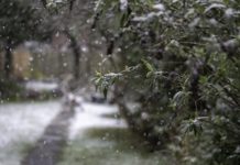 El saldo mortal de la tormenta invernal en Tennessee asciende a 29 víctimas