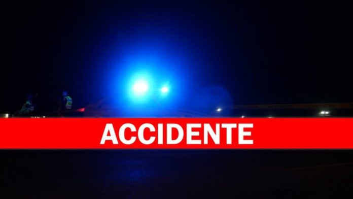 WhatsApp Image 2026-02-12 at 1.26.18 PM