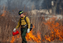 Autoridades anuncian quemas controladas en sitios históricos de Tennessee para prevenir incendios