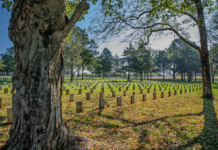 Stones River National Battlefield reabre tras el paso de la tormenta invernal
