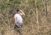 Arrestan a un hombre por acoso y exhibicionismo en el centro natural Ijams de Knoxville