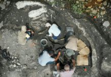 Hallan en Costa Rica fósiles de perezoso y mastodonte de unos 40.000 años de antigüedad