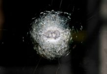 Cancelan la Copa Mundial de Clavados en Jalisco por seguridad; México evalúa alternativas