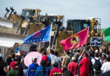 Justicia de USA golpea a Greenpeace con multa récord