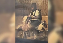 Intensa búsqueda en el condado de Crockett tras persecución y choque de un sospechoso