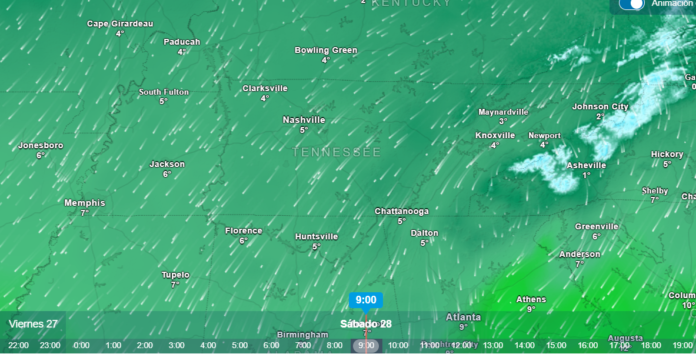 image_2026-03-28_084250618