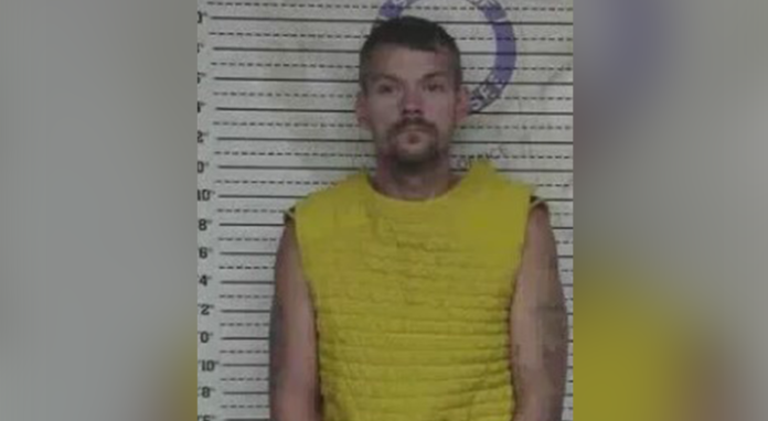 image_2026-04-11_110202433