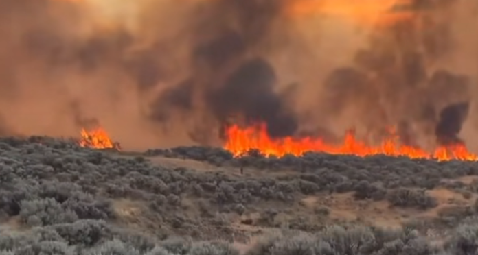 Caught The Fire Bug