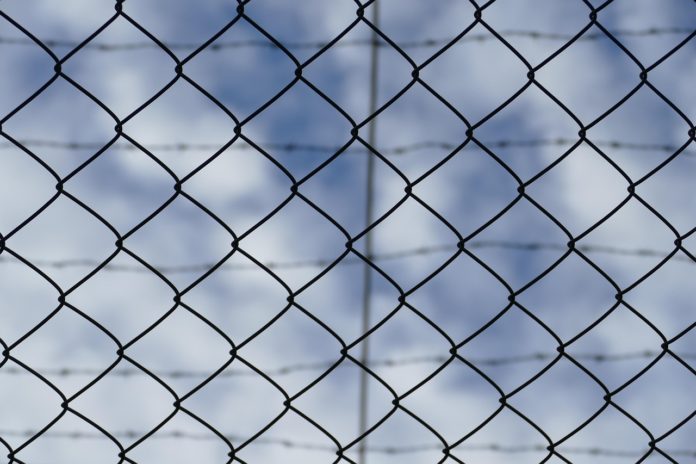 falco-jail-4759939_1280